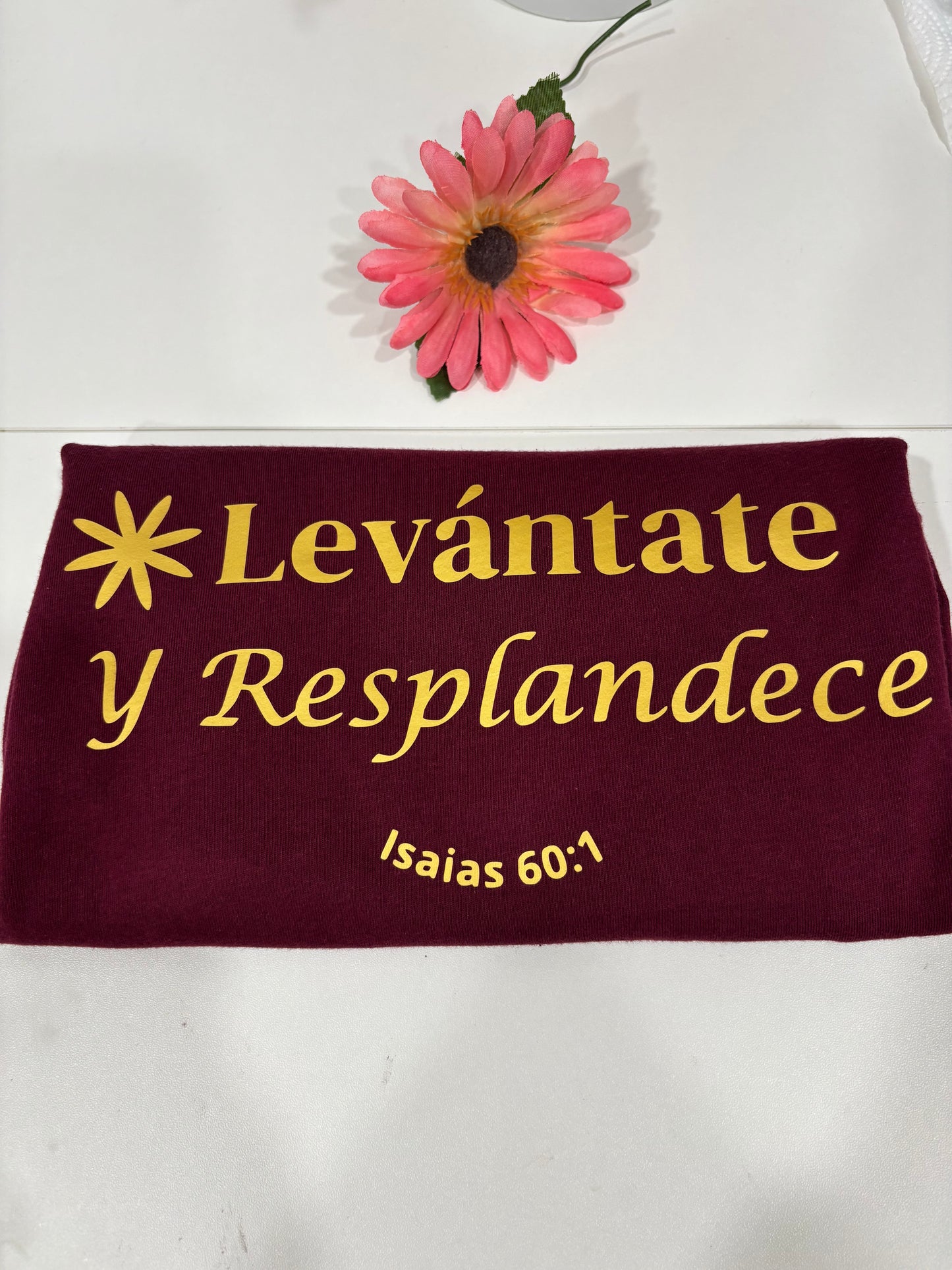 Camiseta, Levántate y Resplandece