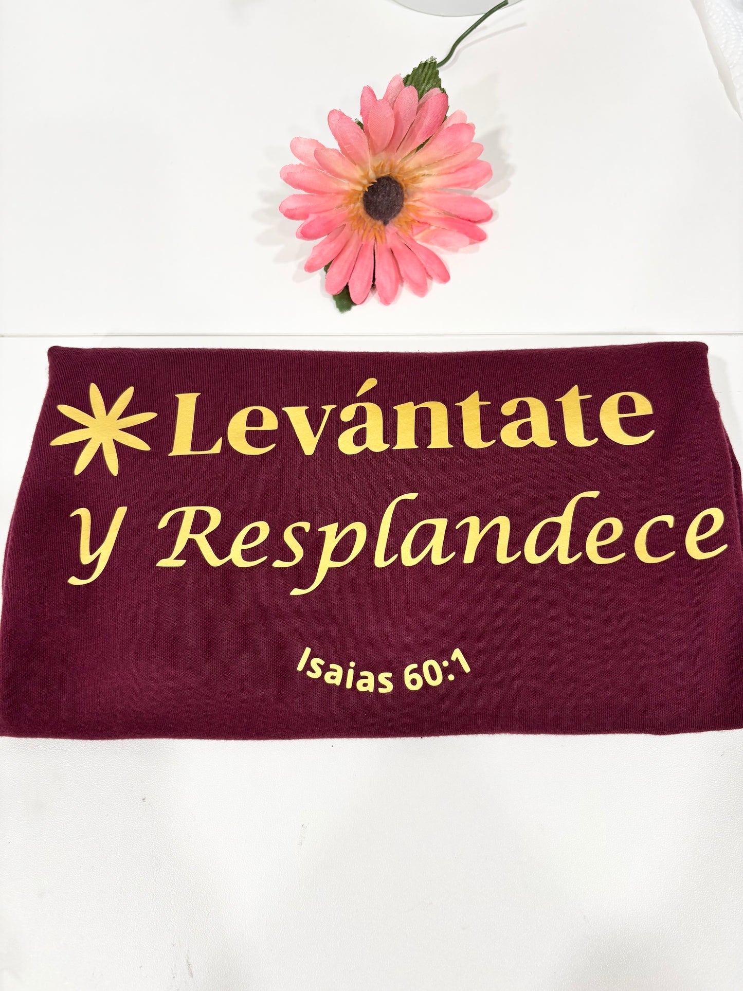 Camiseta, Levántate y Resplandece