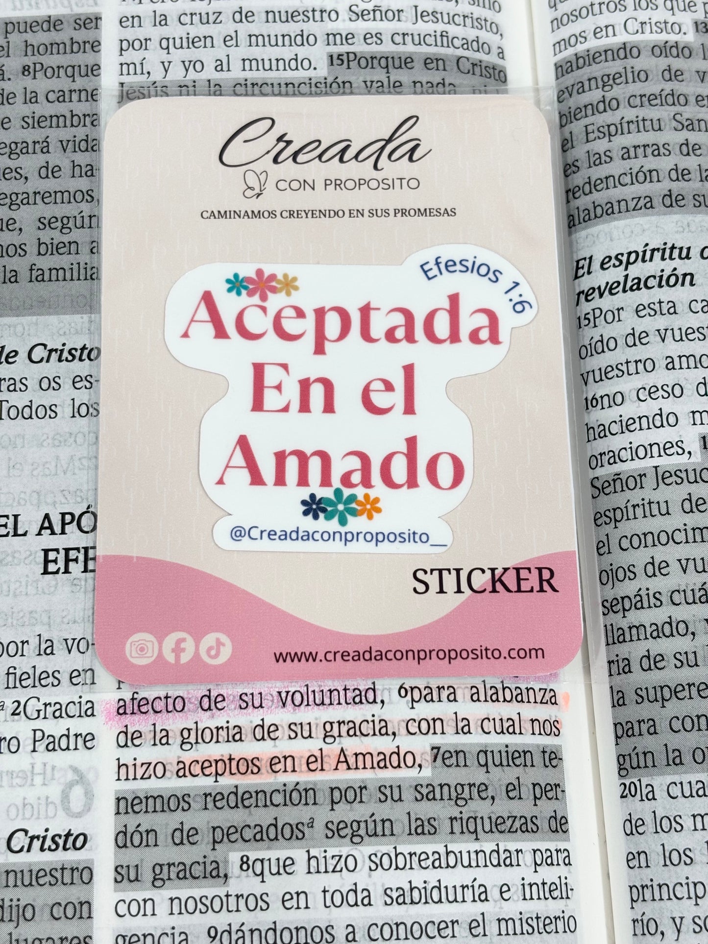 Sticker, Aceptada En El Amado.
